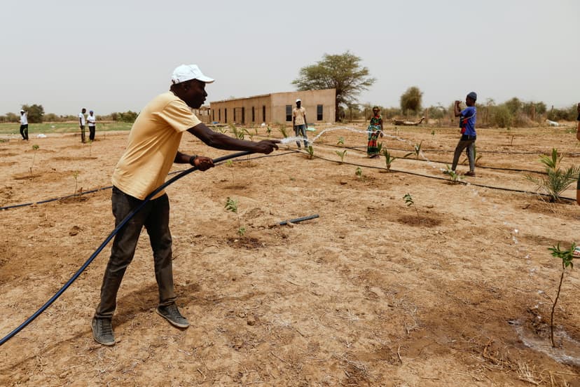 Sustainable Agriculture Practices in Sahel Region